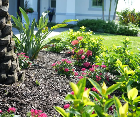 Landscape Maintenance