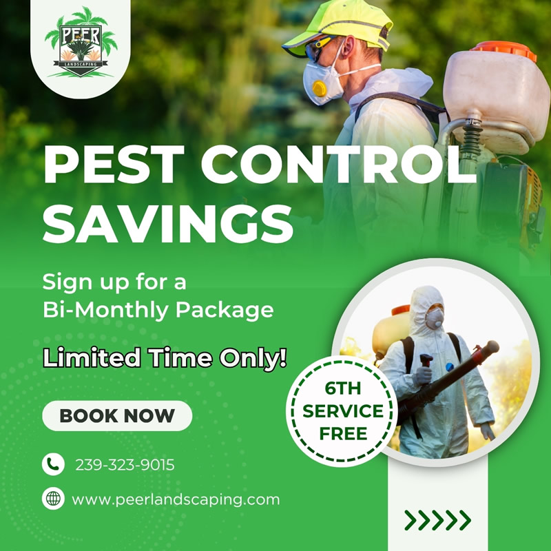 Pest control savings promotion