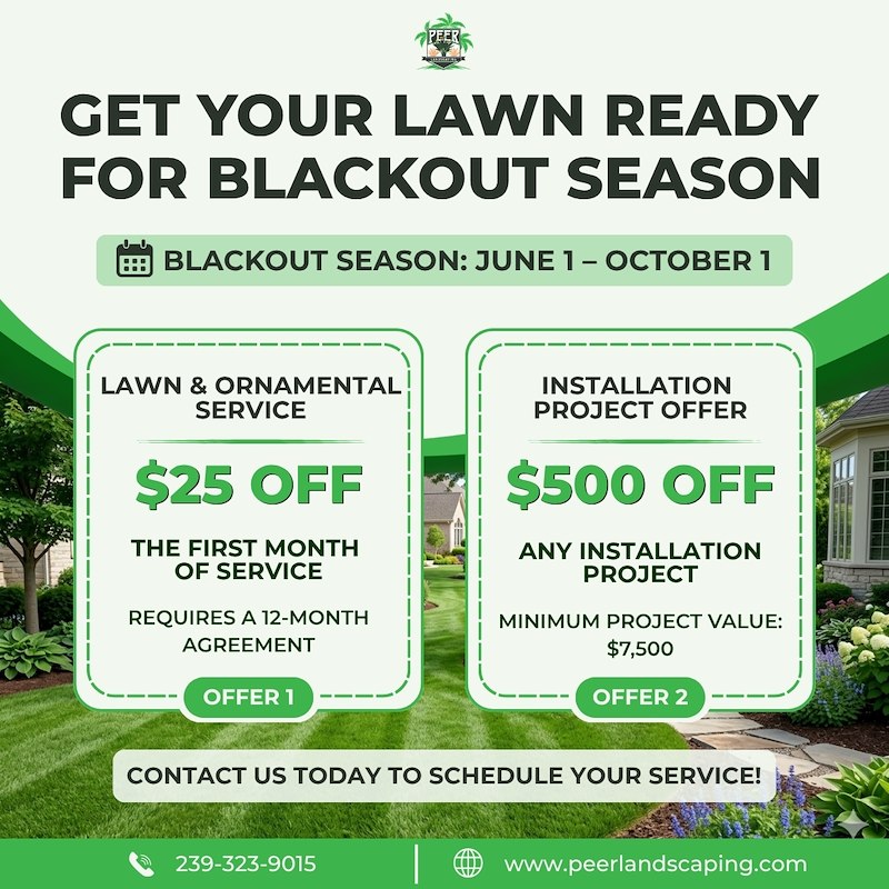 Outdoor installation project promotion